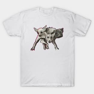 Most Terrifying Cerberus T-Shirt